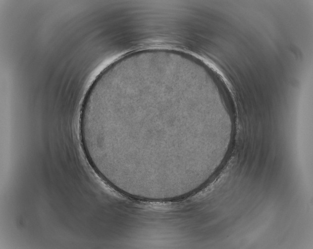 X0000112201333200909181525