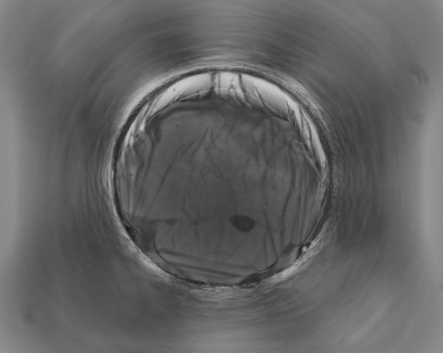 X0000112201334200909181525