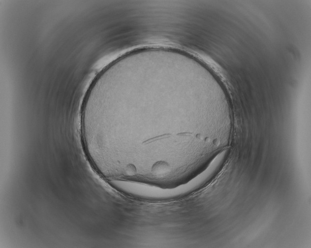 X0000112201335200909181525