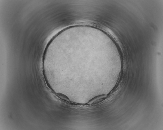 X0000112201336200909181525