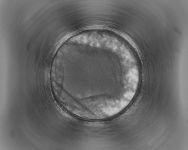 X0000112201337200909181525