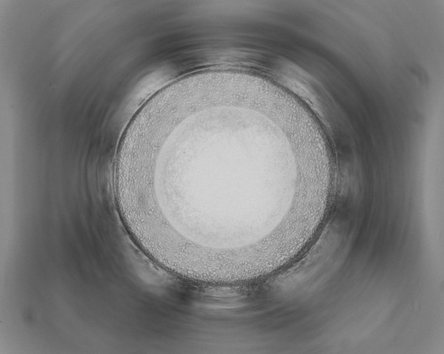 X0000112201338200909181525