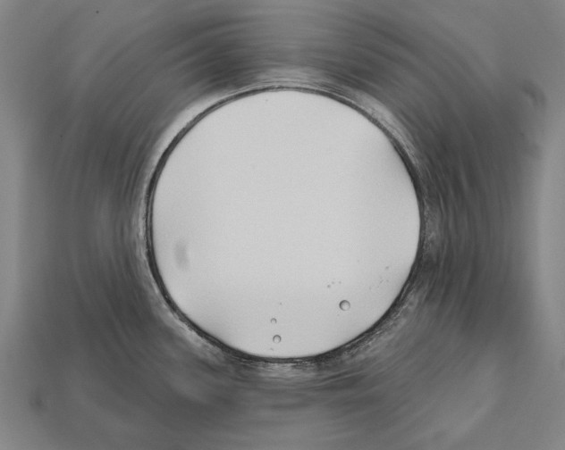 X0000112201339200909181525