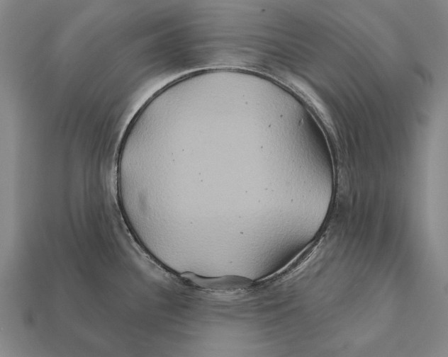 X0000112201340200909181525
