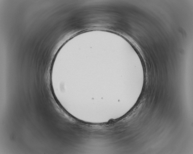 X0000112201341200909181525