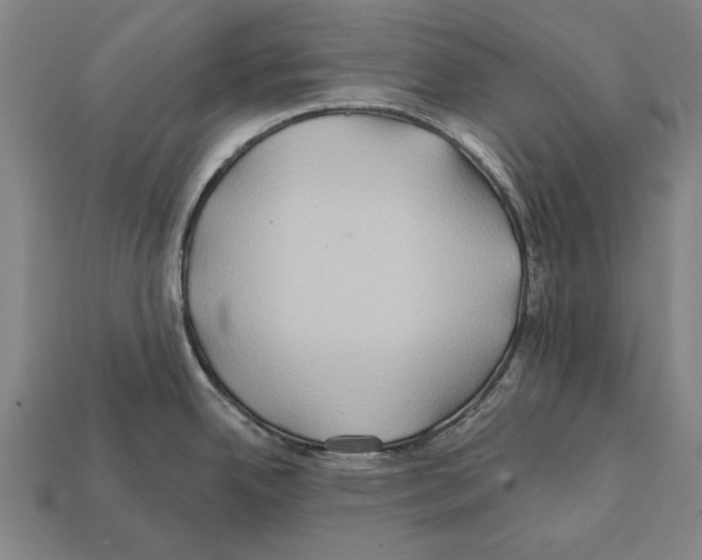 X0000112201342200909181525