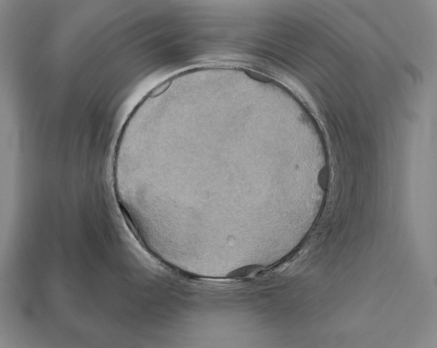 X0000112201344200909181525