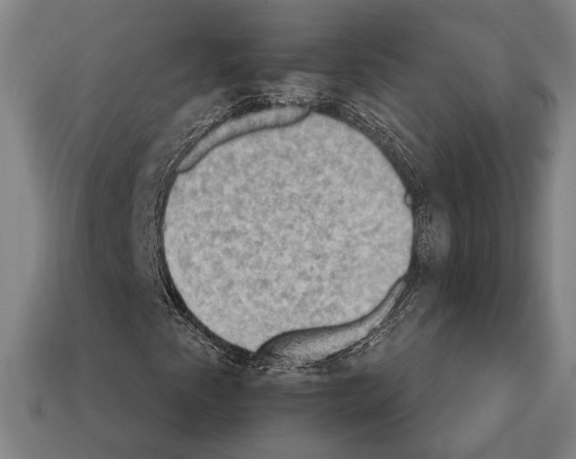 X0000112201345200909181525