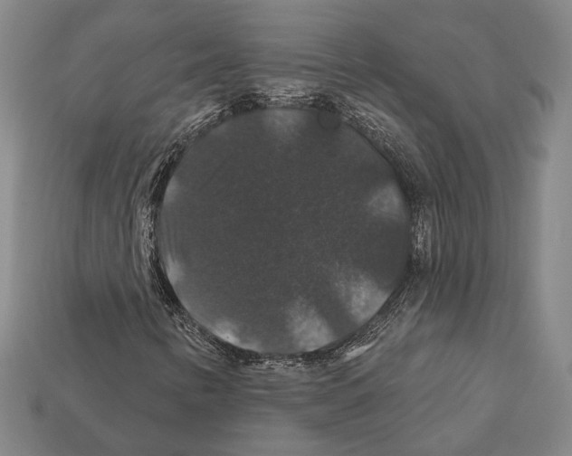 X0000112201346200909181525