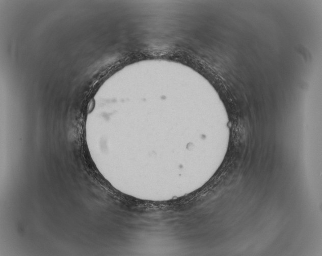 X0000112201349200909181525