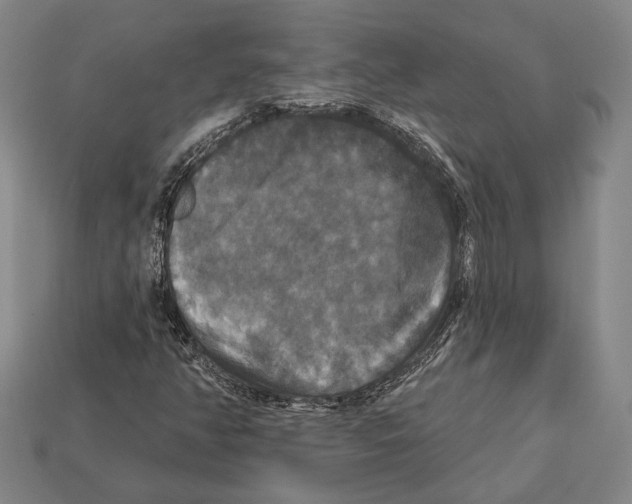 X0000112201350200909181525