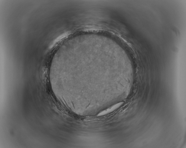 X0000112201351200909181525