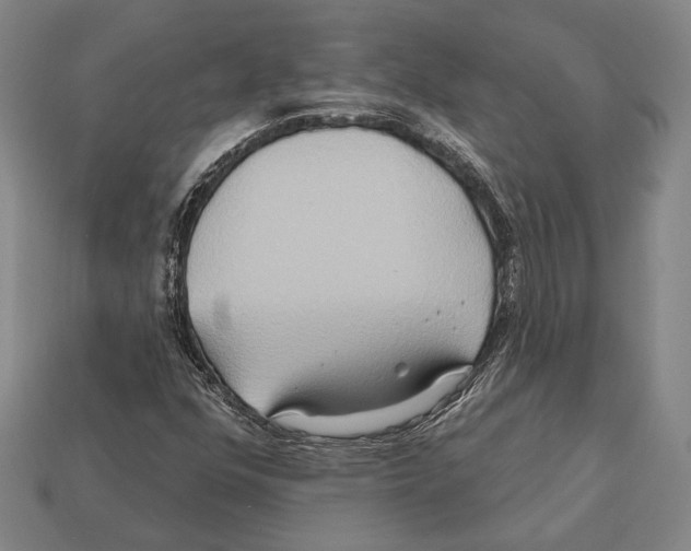 X0000112201352200909181525