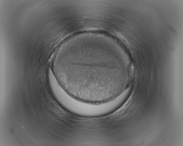 X0000112201353200909181525