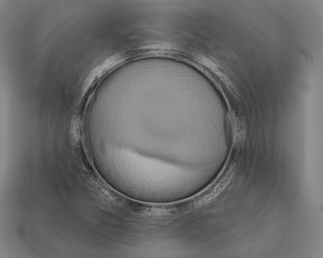 X0000112201357200909181524