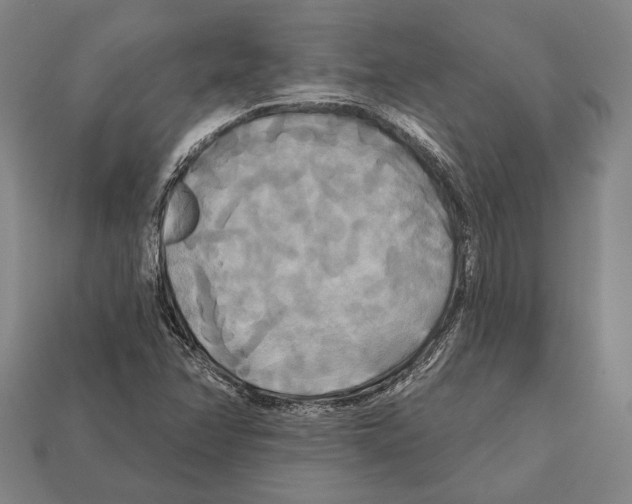 X0000112201358200909181524