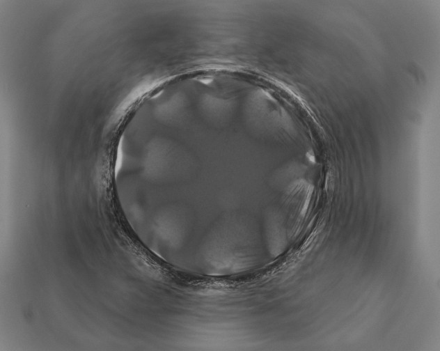 X0000112201359200909181524