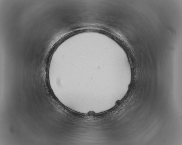 X0000112201360200909181524