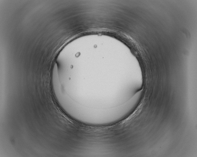 X0000112201361200909181524