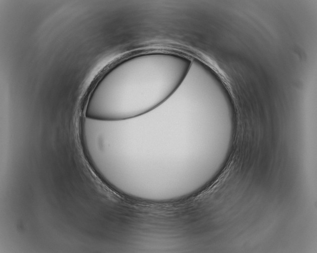 X0000112201368200909181524