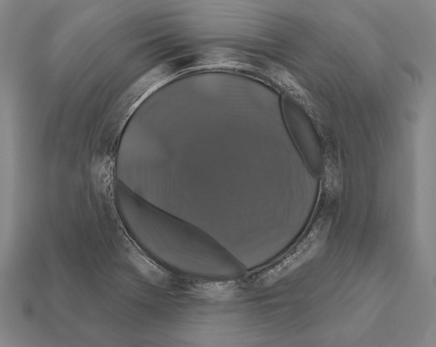X0000112201369200909181524