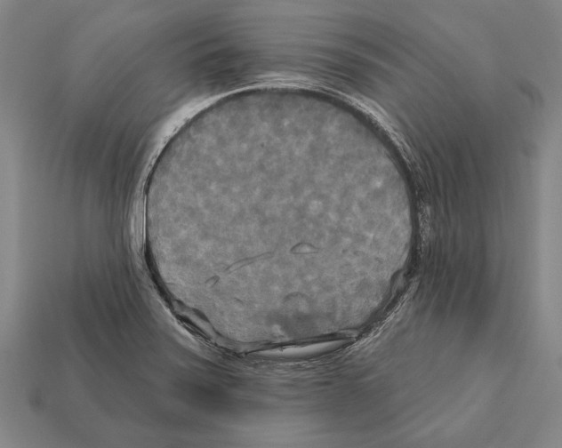 X0000112201371200909181524