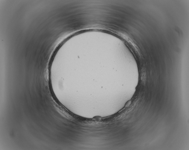 X0000112201372200909181524