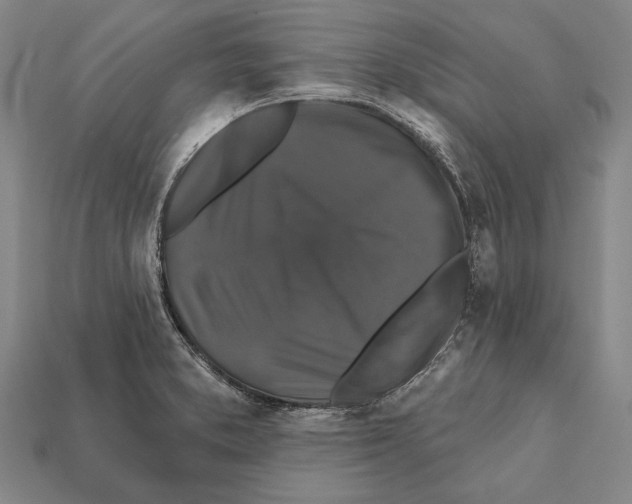 X0000112201373200909181524