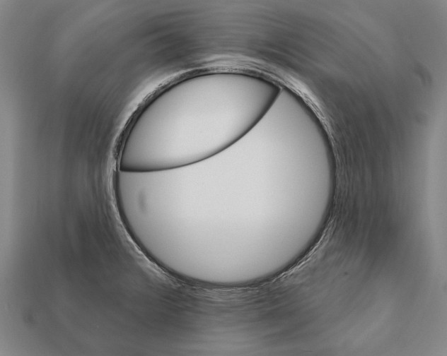 X0000112201376200909181524