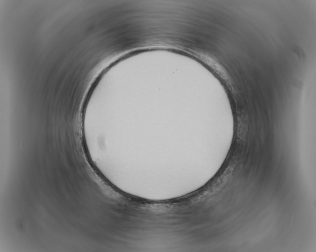 X0000112201380200909181524