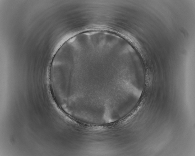 X0000112201382200909181524