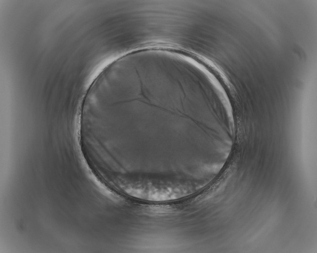 X0000112201383200909181524