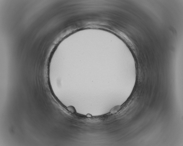 X0000112201384200909181524