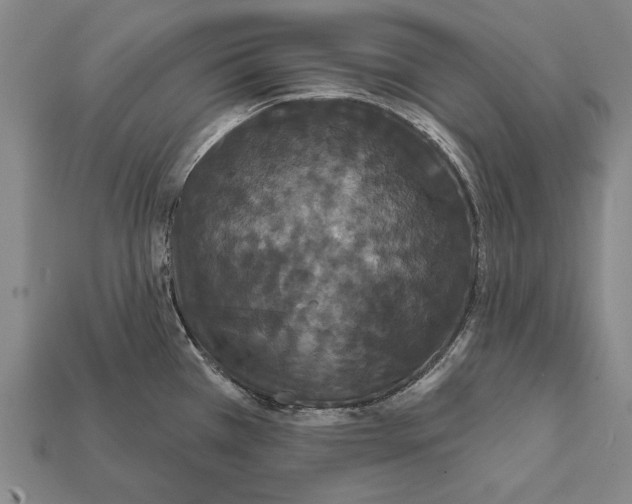 X0000112201385200909181524