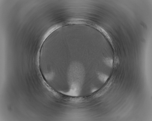 X0000112201386200909181524