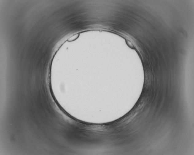 X0000112201387200909181524