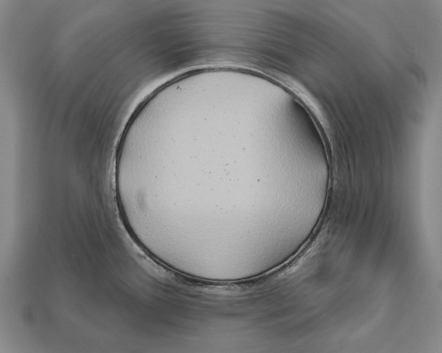 X0000112201388200909181524