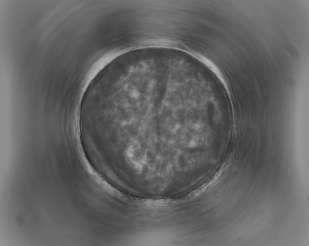 X0000112201389200909181524