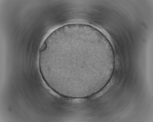 X0000112201390200909181524