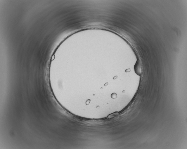 X0000112201392200909181524