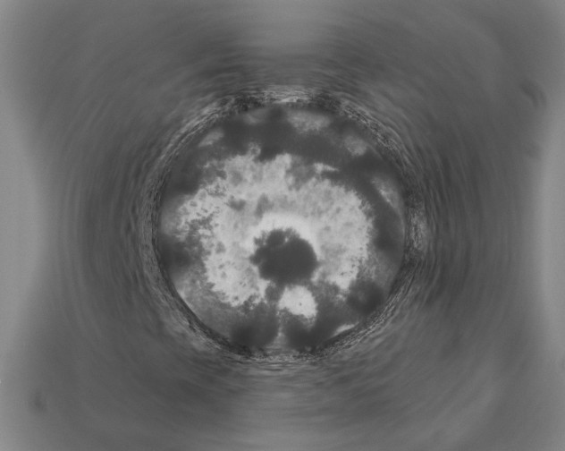 X0000112201393200909181523
