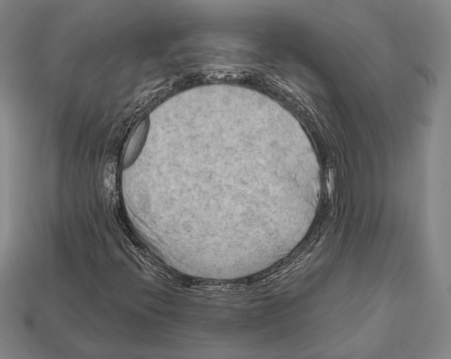 X0000112201396200909181523