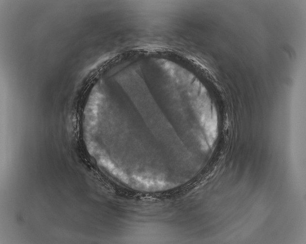 X0000112201398200909181523