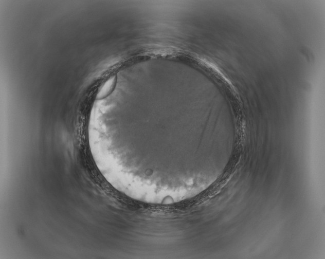 X0000112201399200909181524
