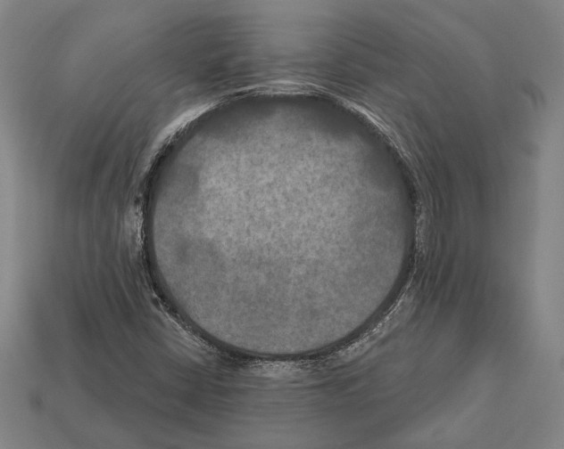 X0000112201402200909181524
