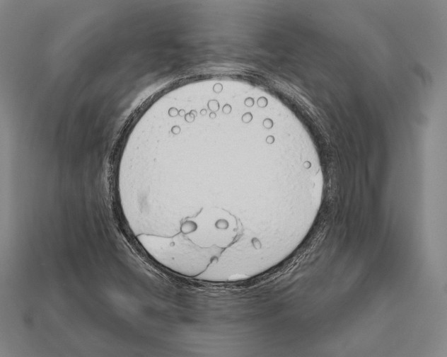X0000112201404200909181524
