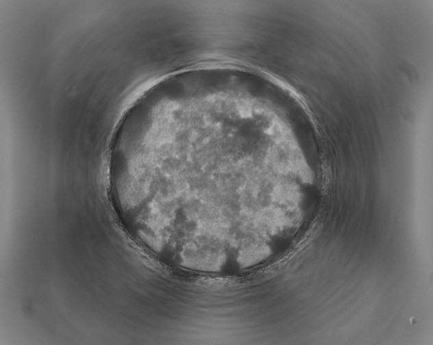 X0000112201415200909181524
