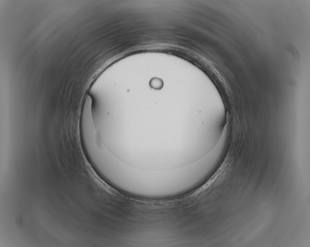 X0000112201417200909181524