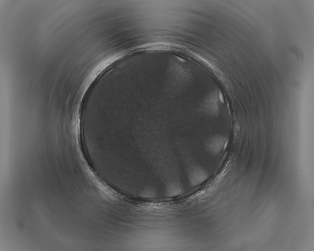 X0000112201418200909181524