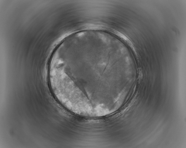 X0000112201419200909181524